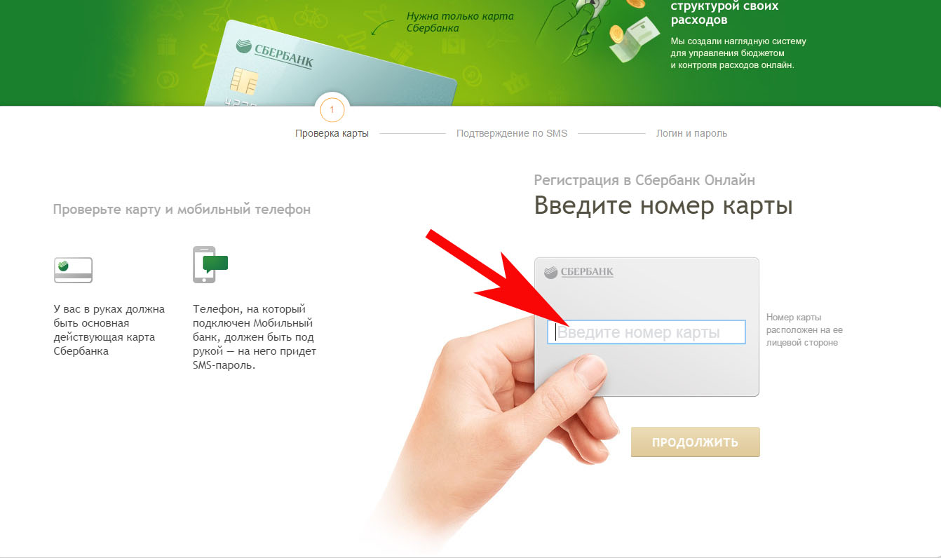 Дайте номер сбербанка. Логин на карте мир. Номер карты Сбербанка. Логин карты.